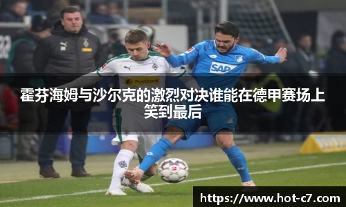 霍芬海姆与沙尔克的激烈对决谁能在德甲赛场上笑到最后